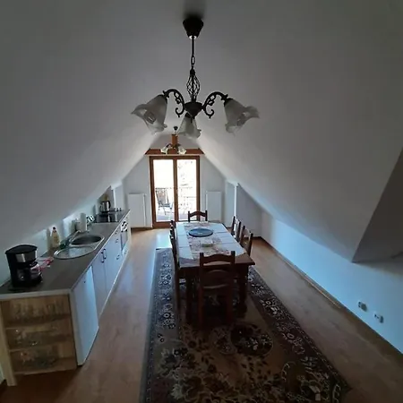 Dzika Róża *