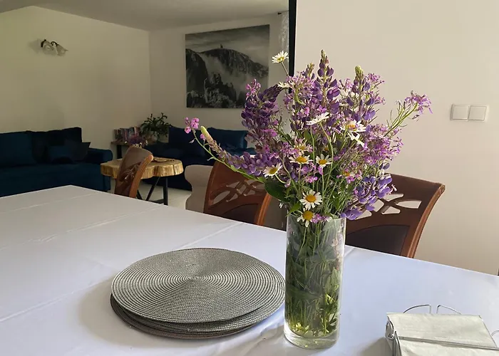 Homestay Dzika Roza *